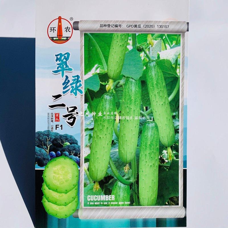 翠绿二号水果黄瓜种子新品种节节有瓜一代杂交水果型黄瓜种子