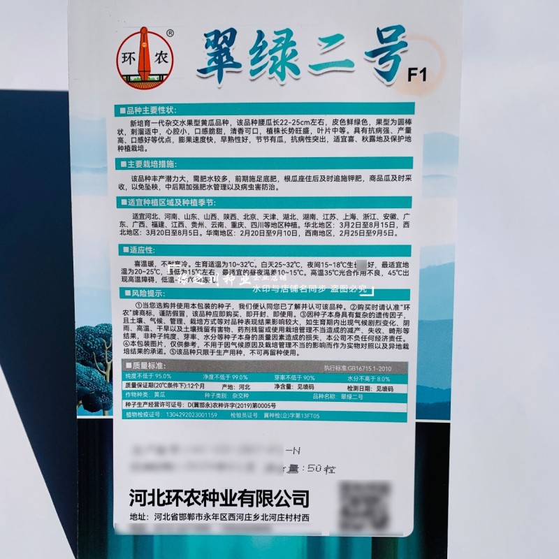 翠绿二号水果黄瓜种子新品种节节有瓜一代杂交水果型黄瓜种子