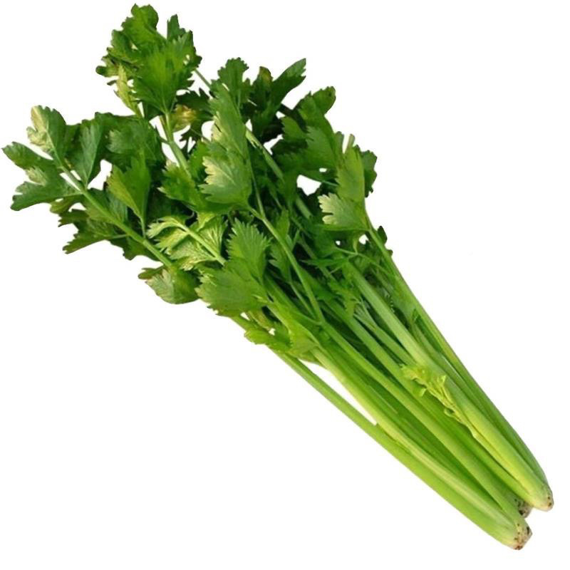 香芹，芹菜，产地一条龙服务，量大从优，价格美丽，