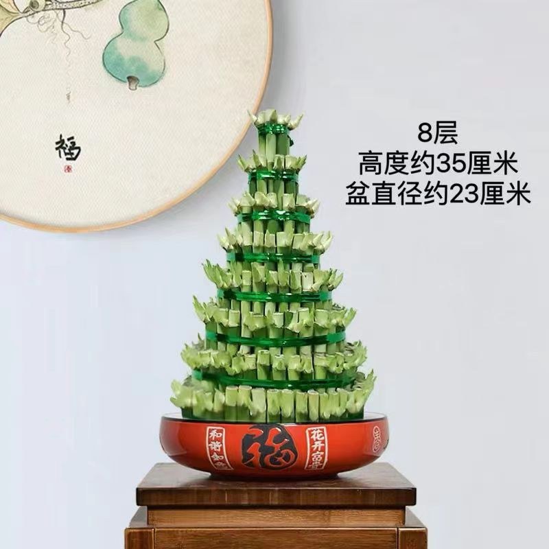 竹塔富贵竹盆栽组合节节高水培观音竹子客厅卧室茶几步步高转