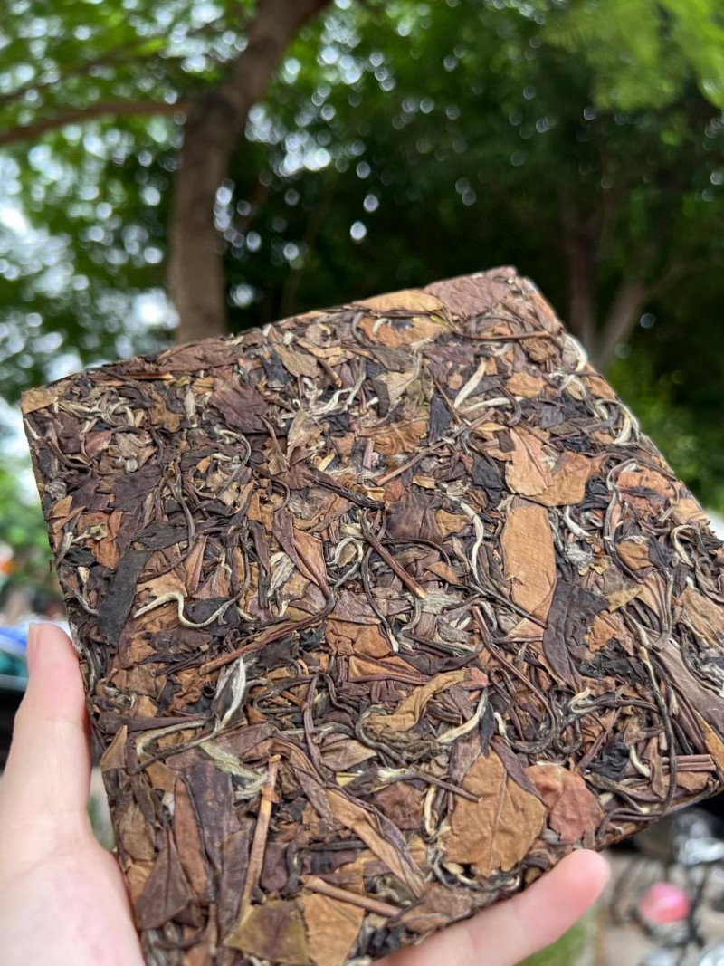 福鼎白茶高山老白茶寿眉陈年日晒白牡丹贡眉茶叶