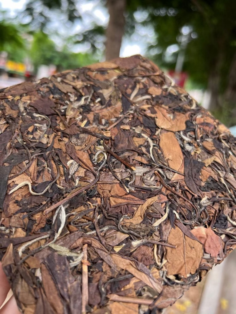 高山福鼎白茶高山老白茶寿眉陈年日晒白牡丹贡眉茶叶