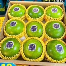 【蜂蜜葡萄柚】台湾青皮葡萄柚甜西柚孕妇新鲜水果礼盒装柚子
