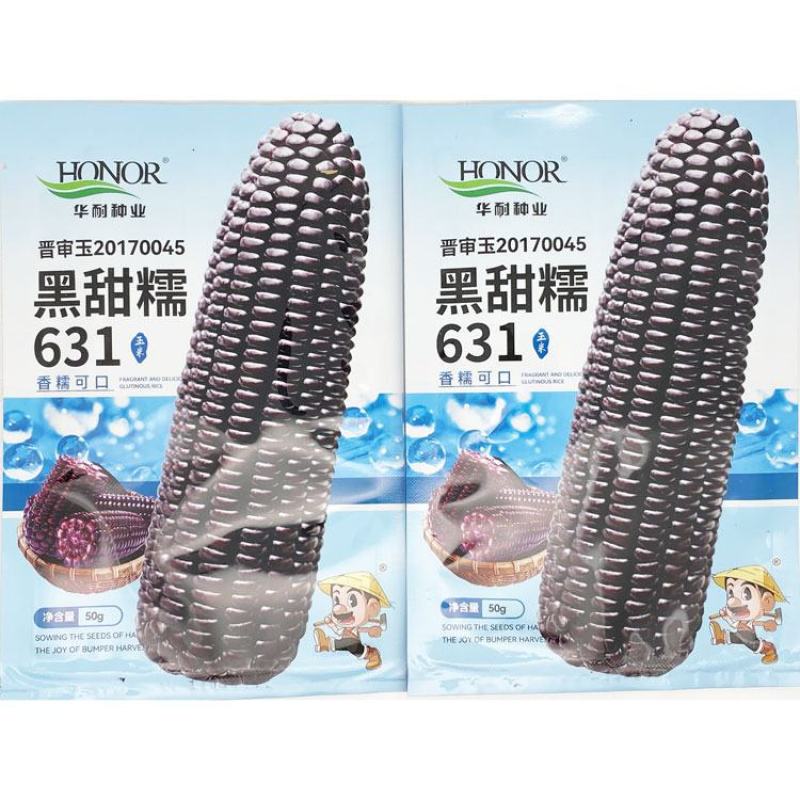 华耐黑甜糯631玉米种子大棒绿皮甜加糯黑紫甜糯玉米种原装