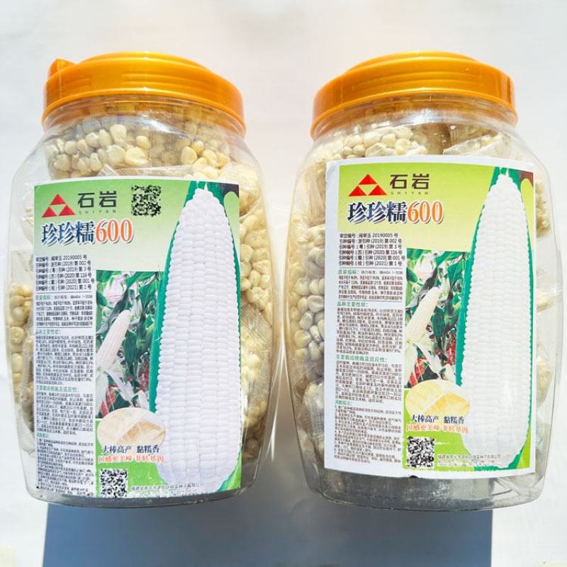 珍珍糯600白糯玉米种子绿皮大棒国审白粘糯玉米种原装