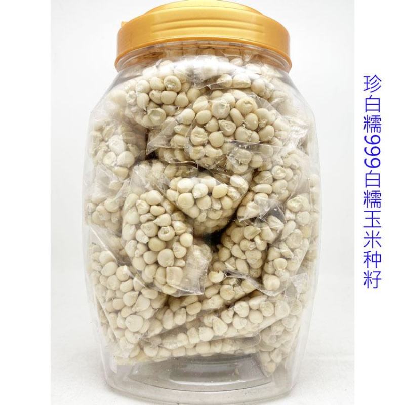 珍珍糯600白糯玉米种子绿皮大棒国审白粘糯玉米种原装