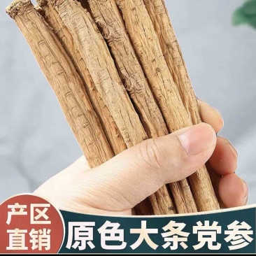 白条党参全干无硫大中小条段子圆片产地直发