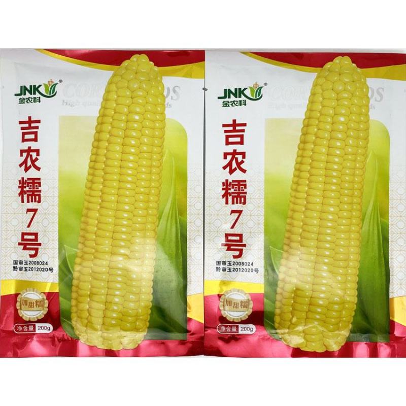 吉农糯7号黄甜糯玉米种子绿皮大棒国审甜加糯玉米种200克