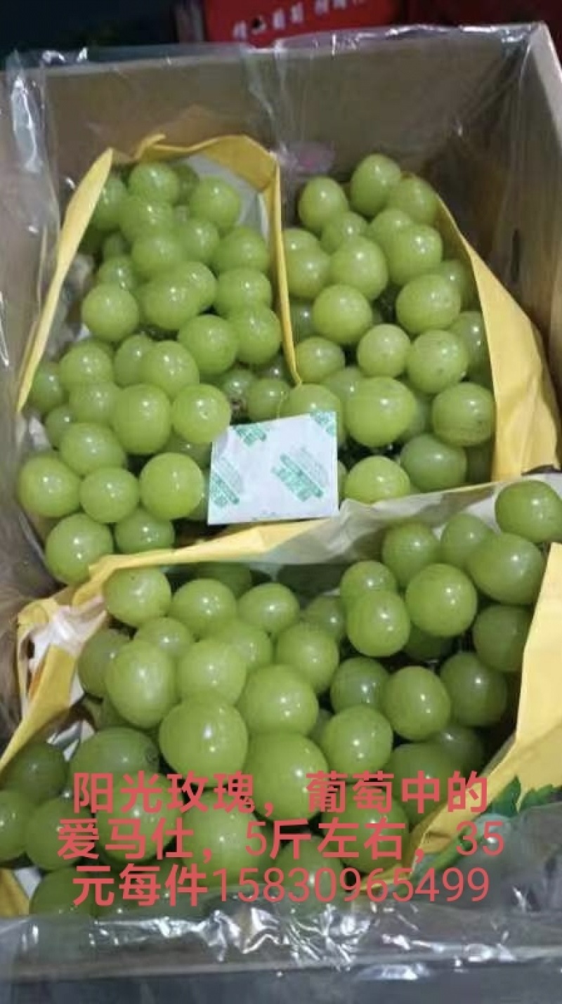 葡萄，阳光玫瑰，巨峰，等多个品种口感好