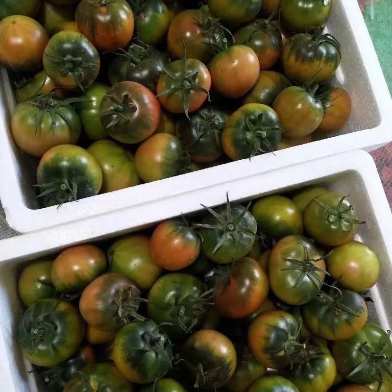 铁皮西红柿，草莓柿子，油柿子.