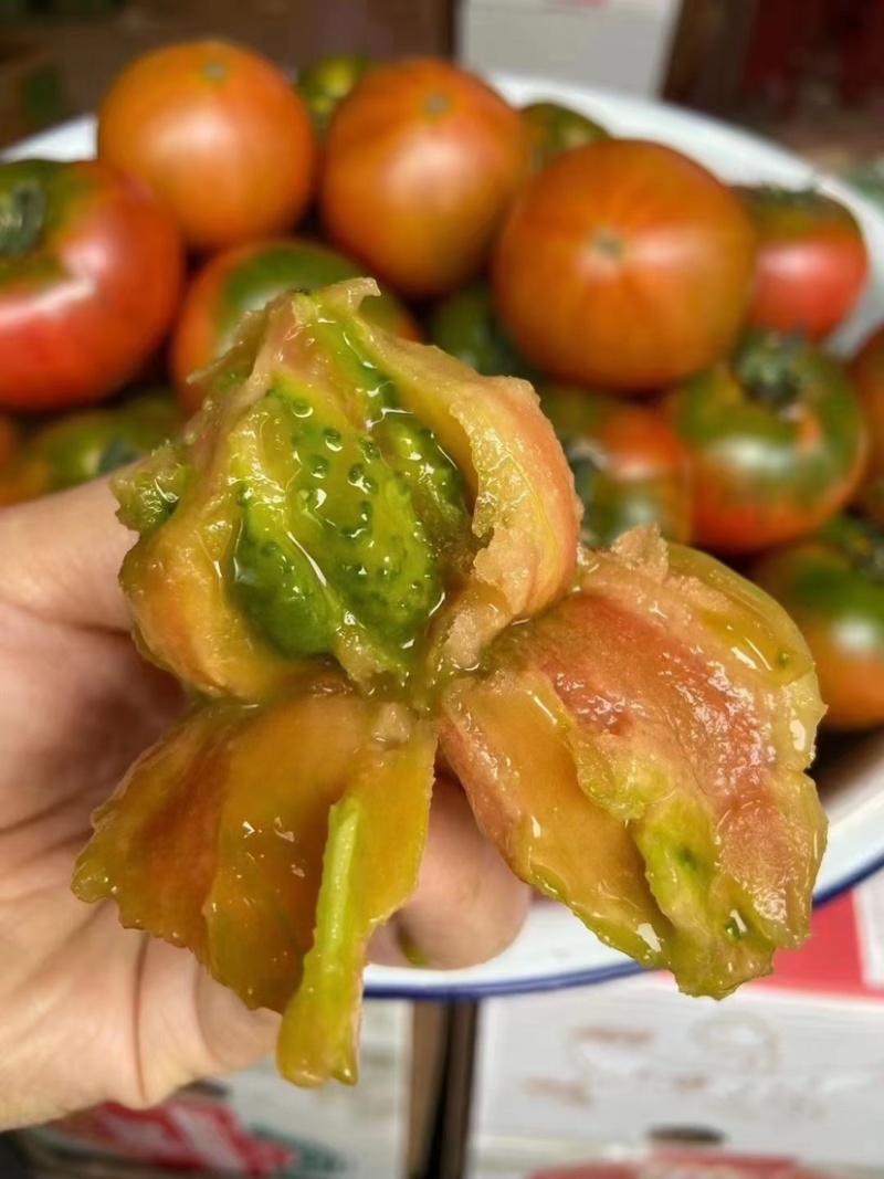 铁皮西红柿，草莓柿子，油柿子.