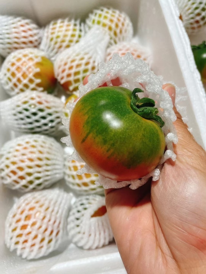 铁皮西红柿，草莓柿子，油柿子.