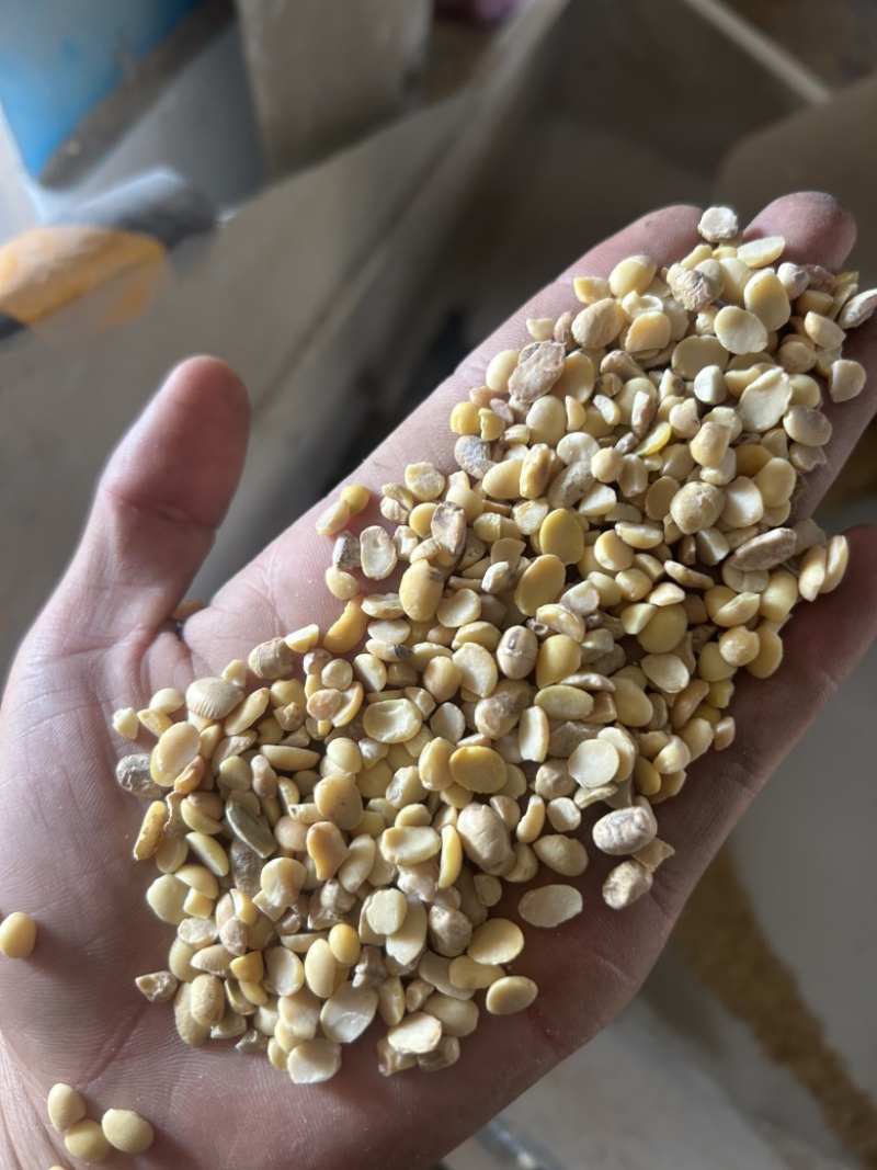 黄豆瓣