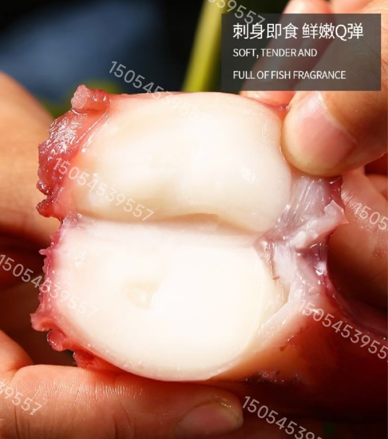 鱿鱼，鱿鱼脆口须，大脆口，鱿鱼须，鱿鱼大八爪章鱼足章鱼须