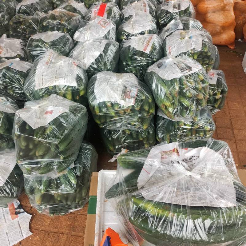 青皮黄瓜，万亩基地，支持装框装箱各种分联，龚垒直发全国