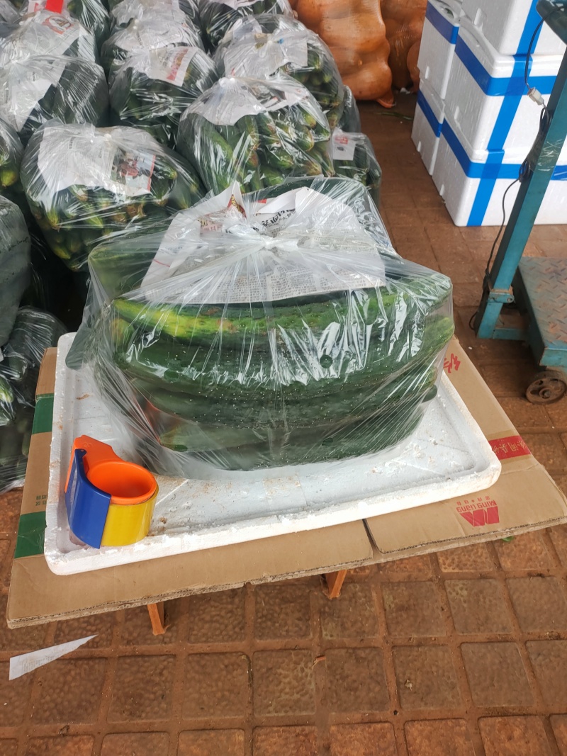 青皮黄瓜，万亩基地，支持装框装箱各种分联，龚垒直发全国