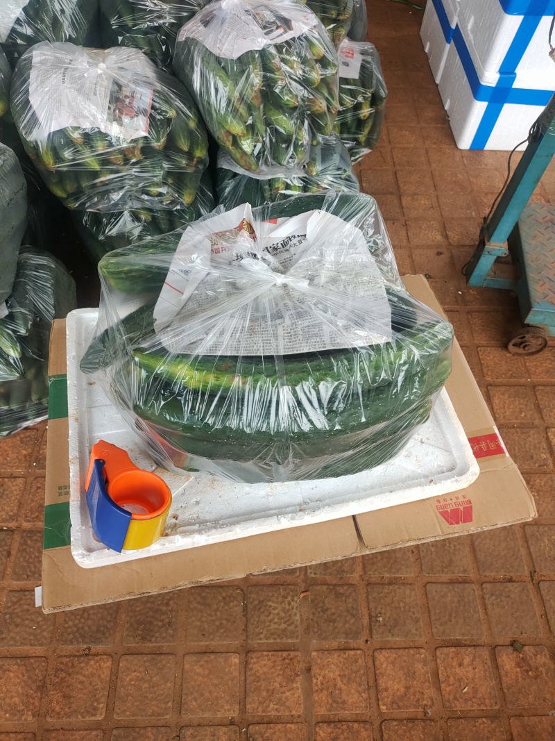 青皮黄瓜，万亩基地，支持装框装箱各种分联，龚垒直发全国