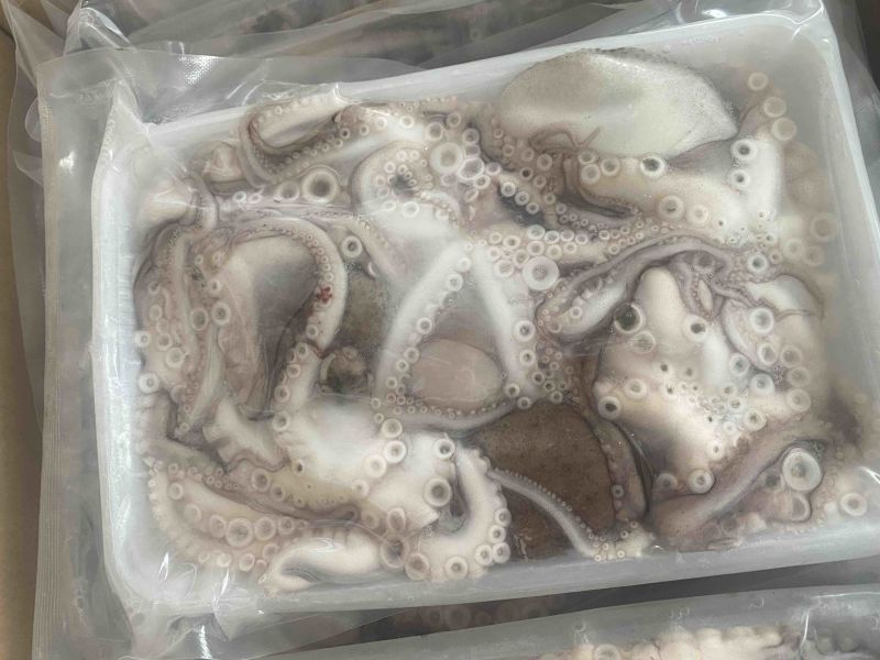 冻八爪鱼（吐沙清洗活冻）可供饭店自助餐用冷链发货量大优惠