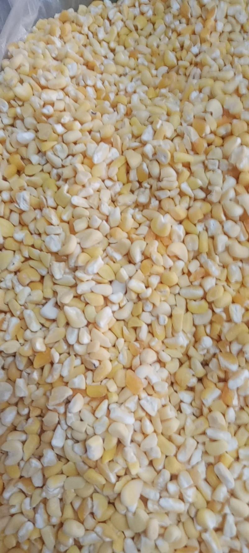 农家玉米粘玉米磕子软糯可口粘度高支持代发包邮
