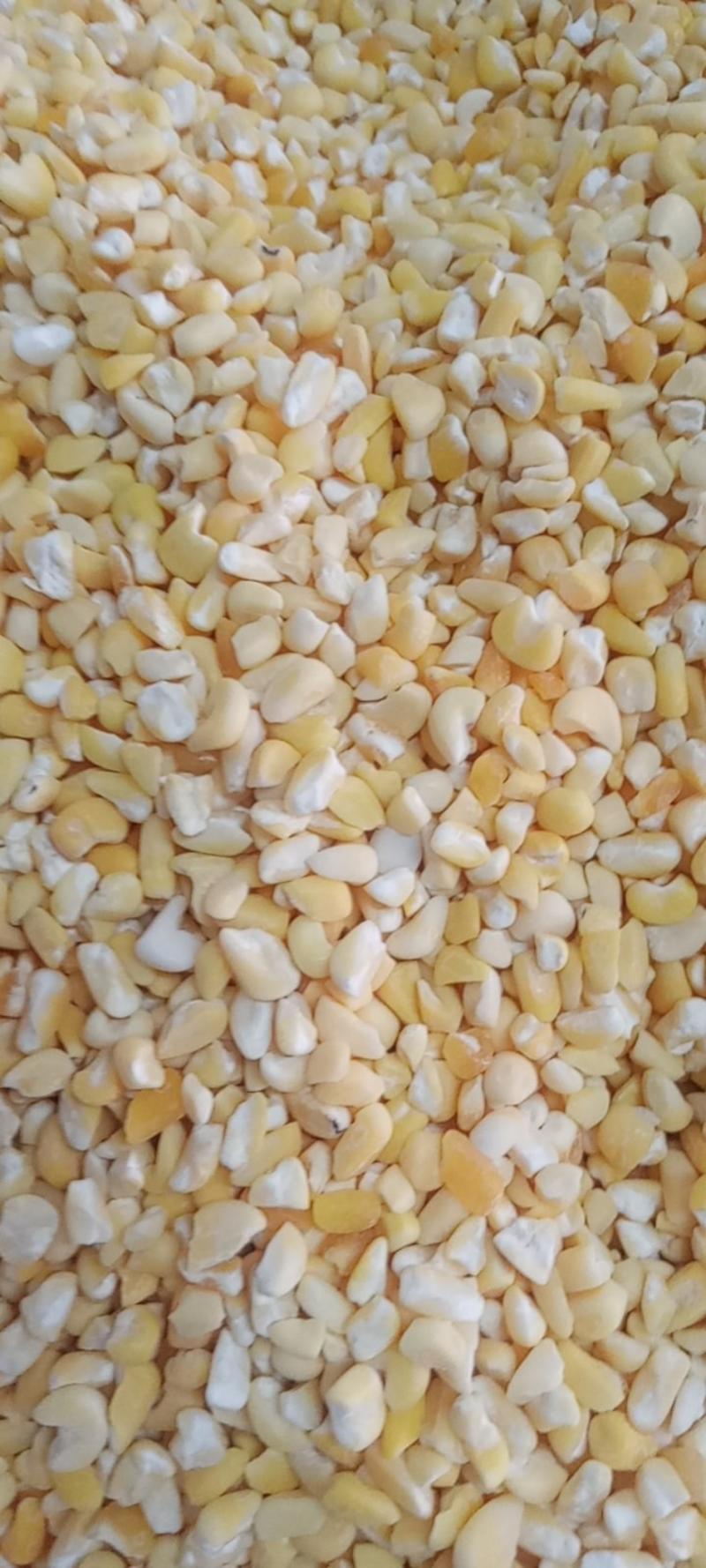 农家玉米粘玉米磕子软糯可口粘度高支持代发包邮