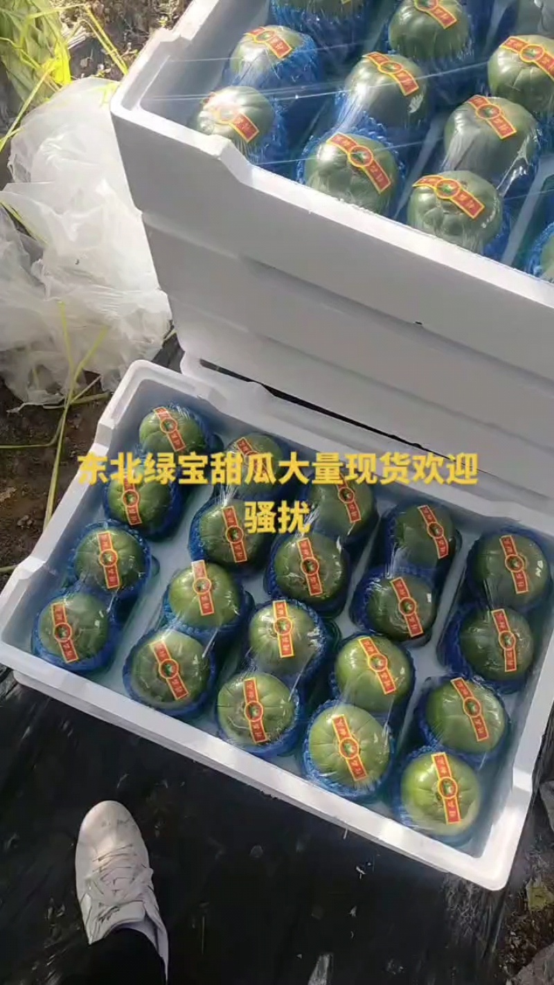 东北绿宝甜瓜支持全国一件代发代采对接各大平台实力供应链