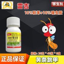 雷吉联苯噻虫胺甘蓝黄条蓟马跳甲蚧壳虫杀虫剂