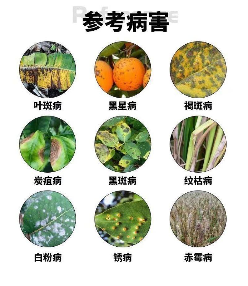 25%丙环唑杀菌剂农药香蕉叶斑病杀菌药杀菌谱广内吸性强农