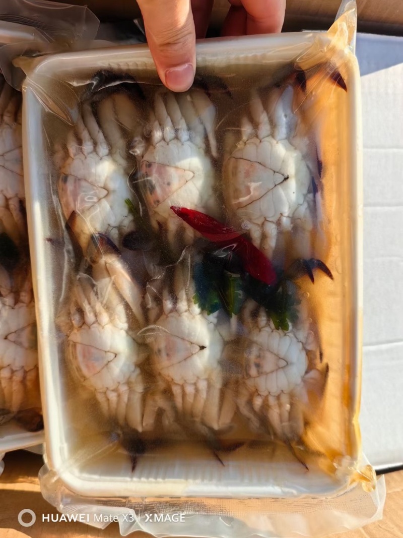 生呛梭子蟹生腌小蟹