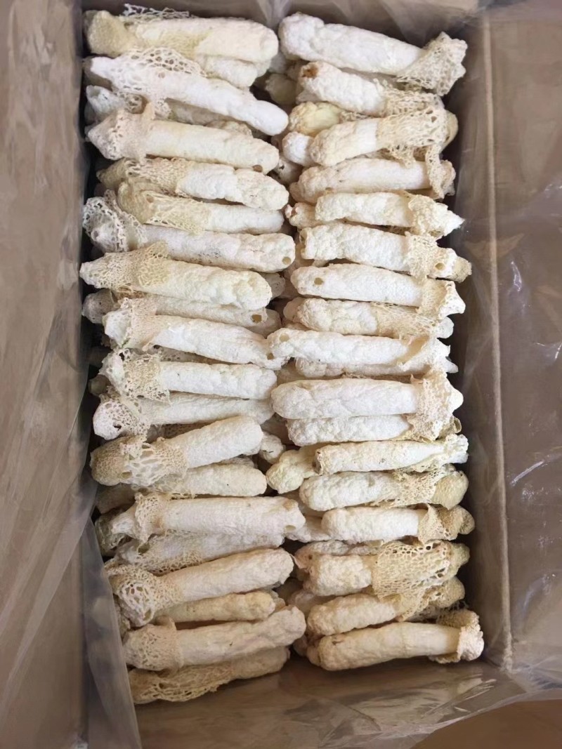 II贵州竹荪头茬批发红托竹荪产地直销香荪菌菇织金竹笙