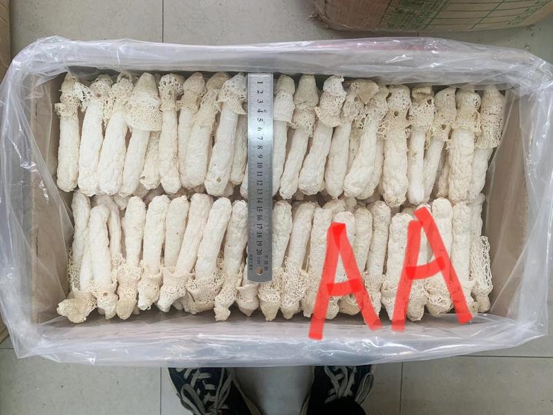 贵州竹荪批发红托竹荪产地直销香荪菌菇蘑菇规格齐全