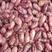 红花芸豆精品大红小豆颗粒饱满色泽好无虫口无杂质