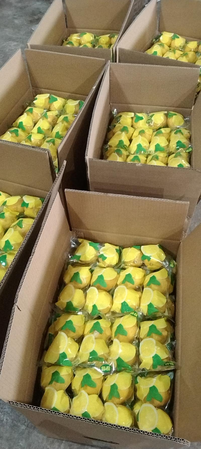 产地直发，实力供货，安岳柠檬，市场精品中果尤力克黄柠檬