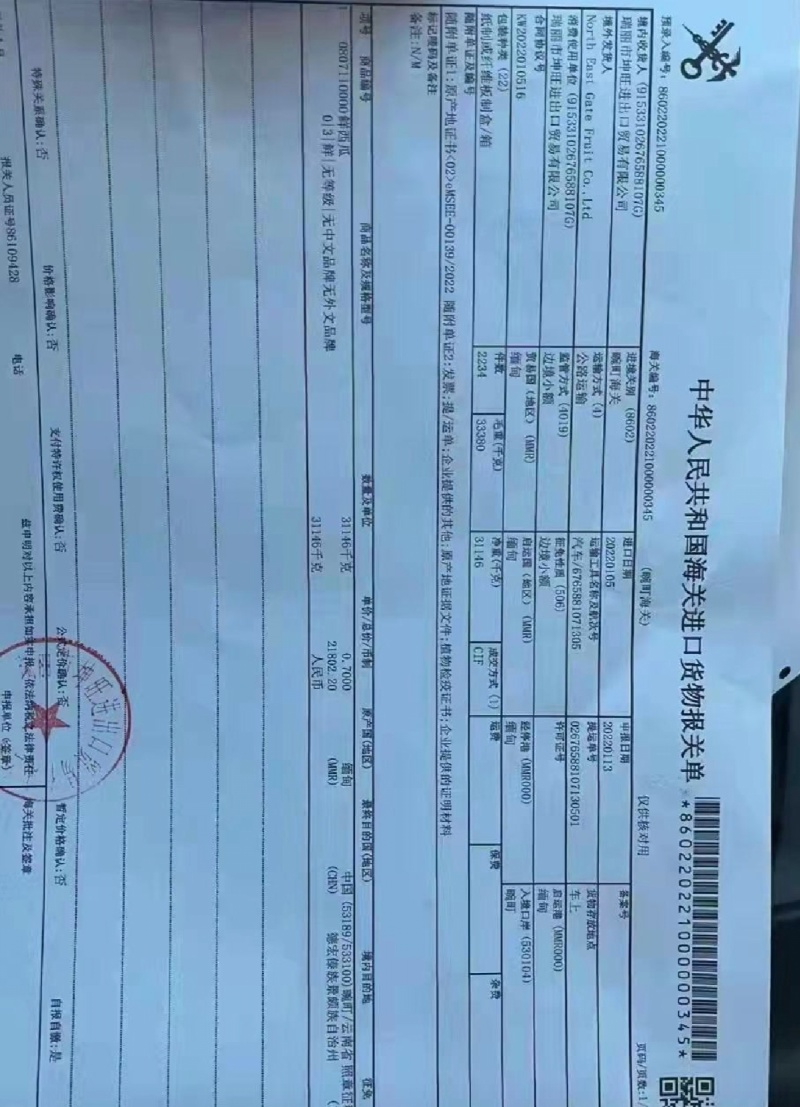 【云南西瓜】甜王西瓜，质量保证，全国无死角代办代发，