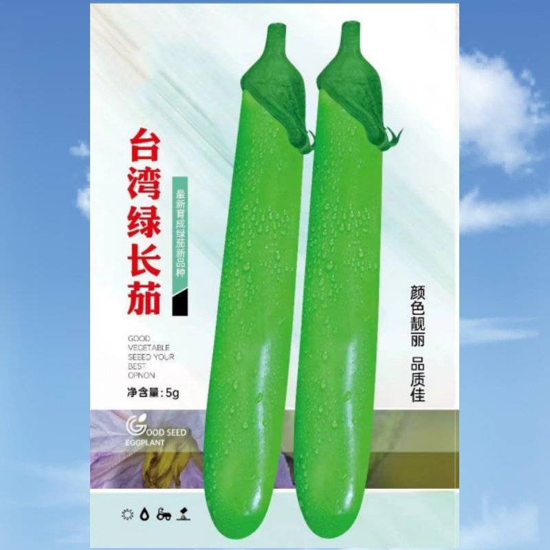 台湾绿长茄种子早中熟果长28-35厘米
