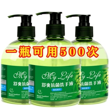 洗手液500ml支持贴牌加工（2款随机发货）