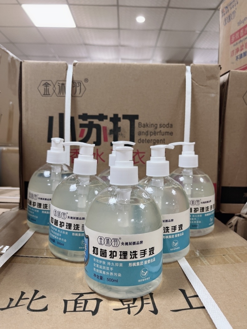 洗手液500ml支持贴牌加工（2款随机发货）