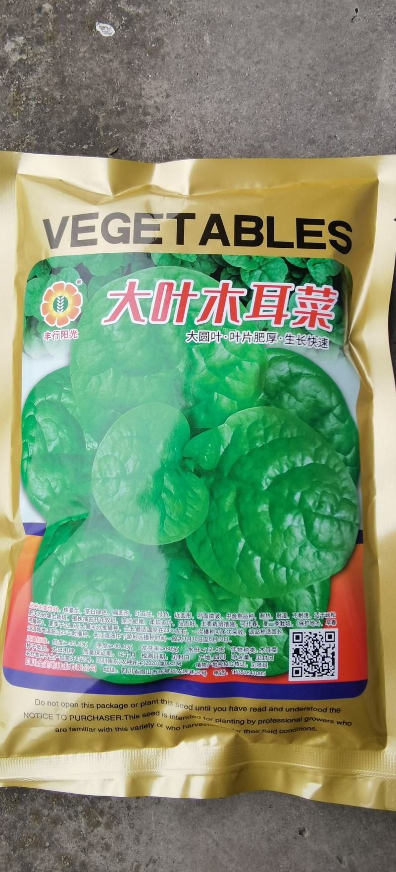 木耳菜种子大叶木耳菜大圆叶