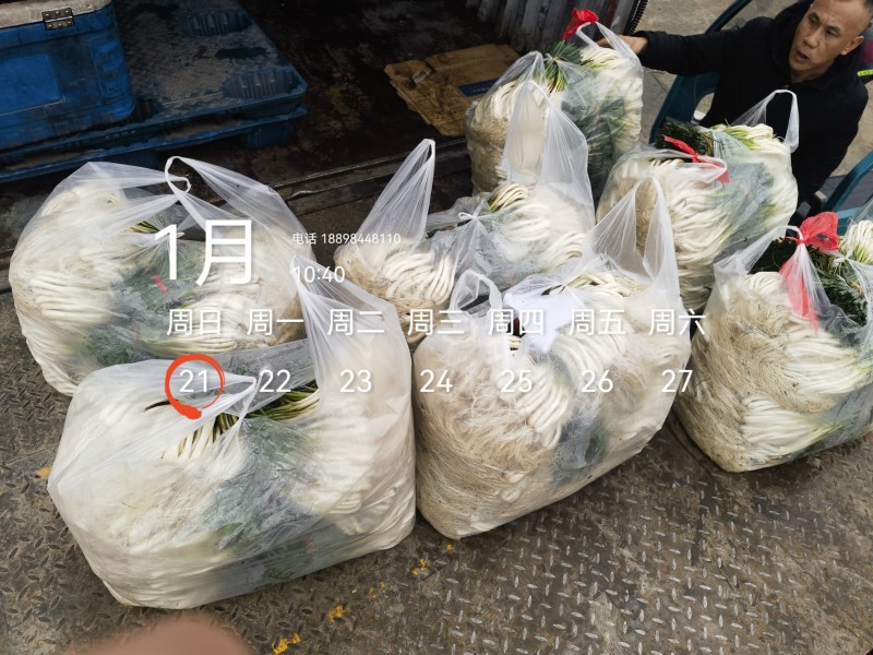基地直供，可按老板们标准要求提供，欢迎平台，电商老板来电