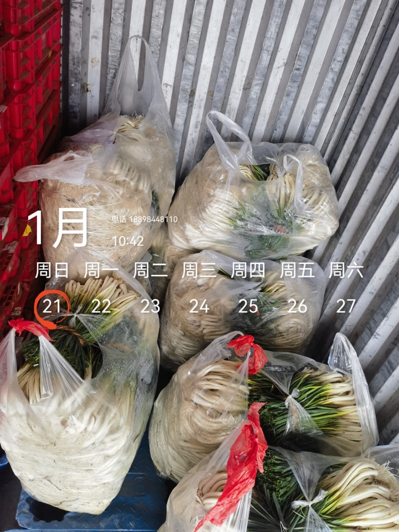 基地直供，可按老板们标准要求提供，欢迎平台，电商老板来电