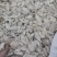 海螵蛸海蛸墨鱼骨乌贼骨产地直销量大从优