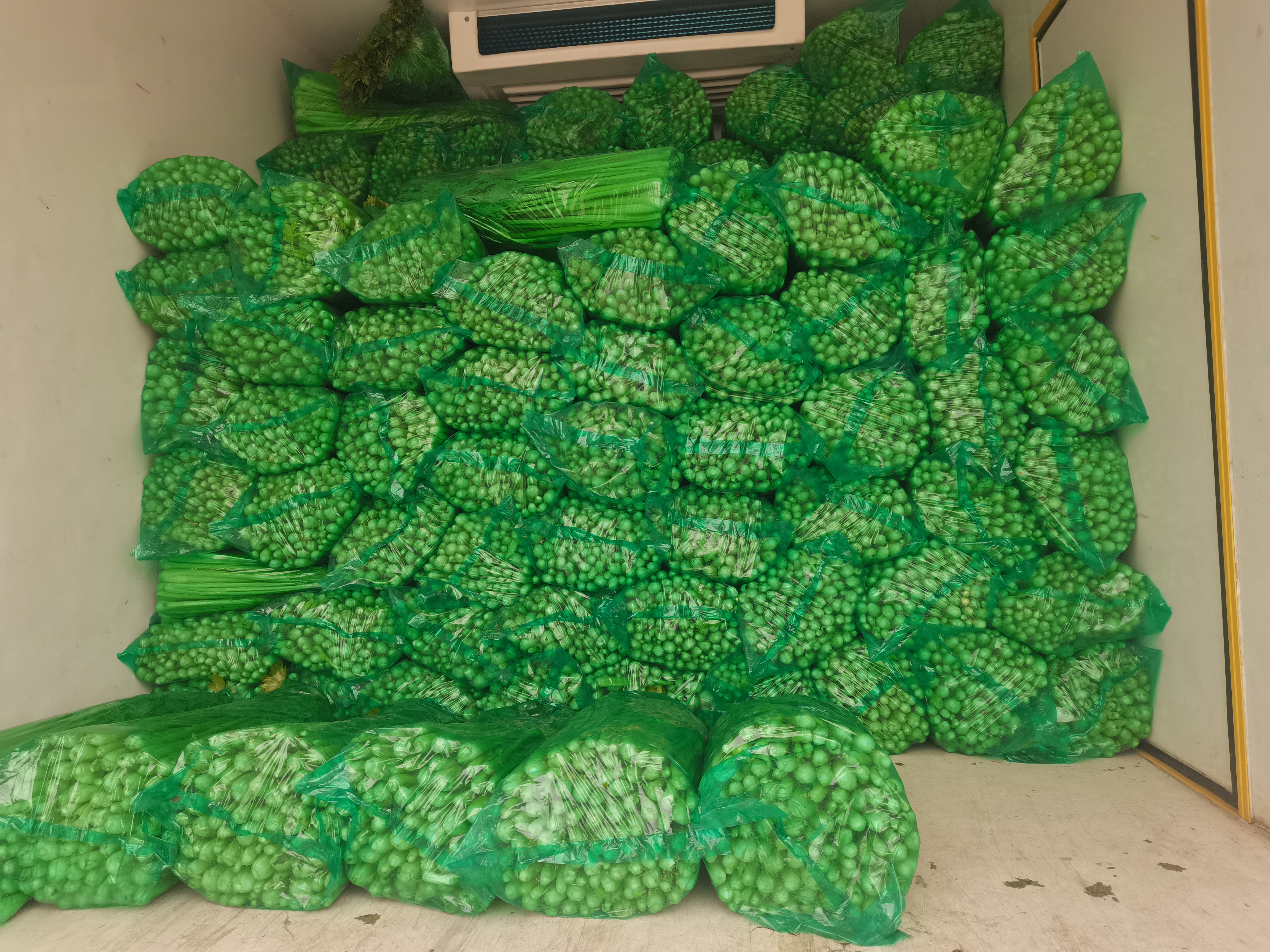 展示农贸市场或超市中香芹苗的售卖场景,绿色蔬菜整齐摆放,顾客正在挑选 香芹苗的市场售卖场景