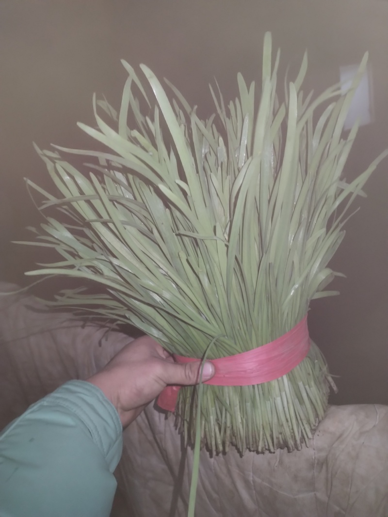 头刀二刀大量