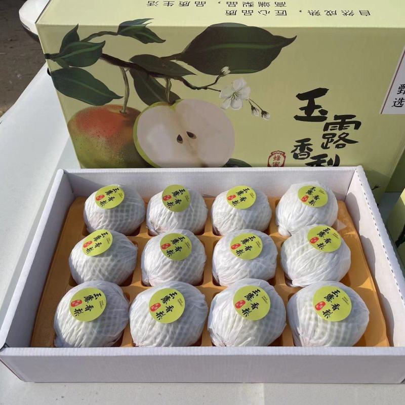 精品玉露香礼盒梨，带手提袋