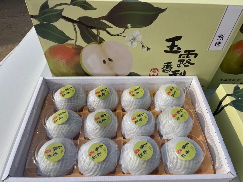 精品玉露香礼盒梨，带手提袋