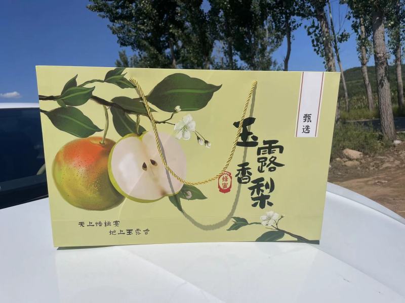 精品玉露香礼盒梨，带手提袋