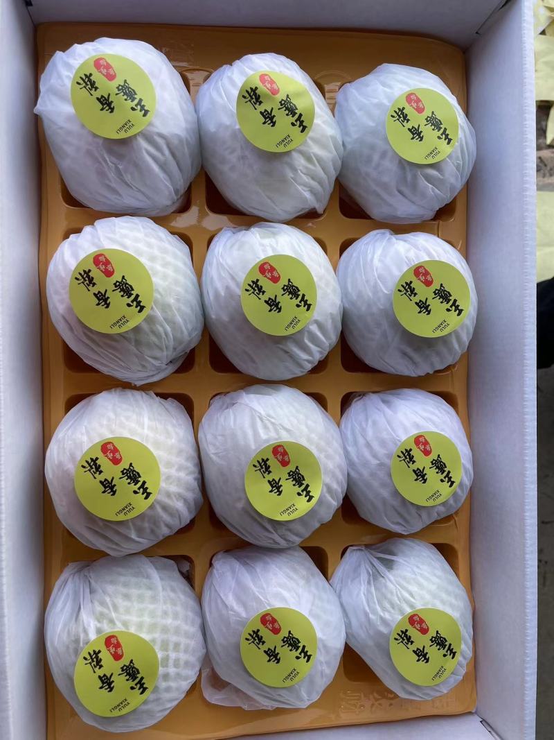 精品玉露香礼盒梨，带手提袋