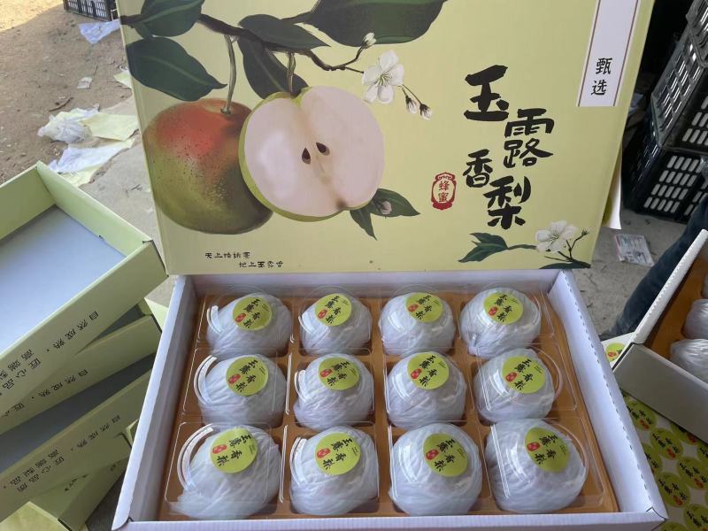 精品玉露香礼盒梨，带手提袋