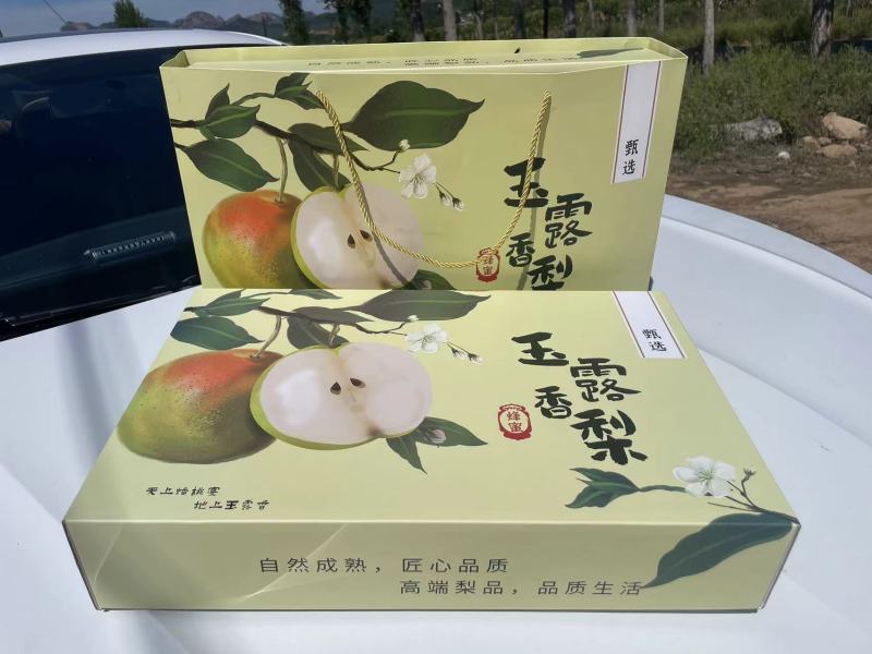 精品玉露香礼盒梨，带手提袋