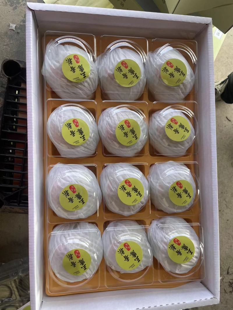 精品玉露香礼盒梨，带手提袋