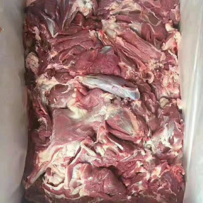 鲜冻羊肉